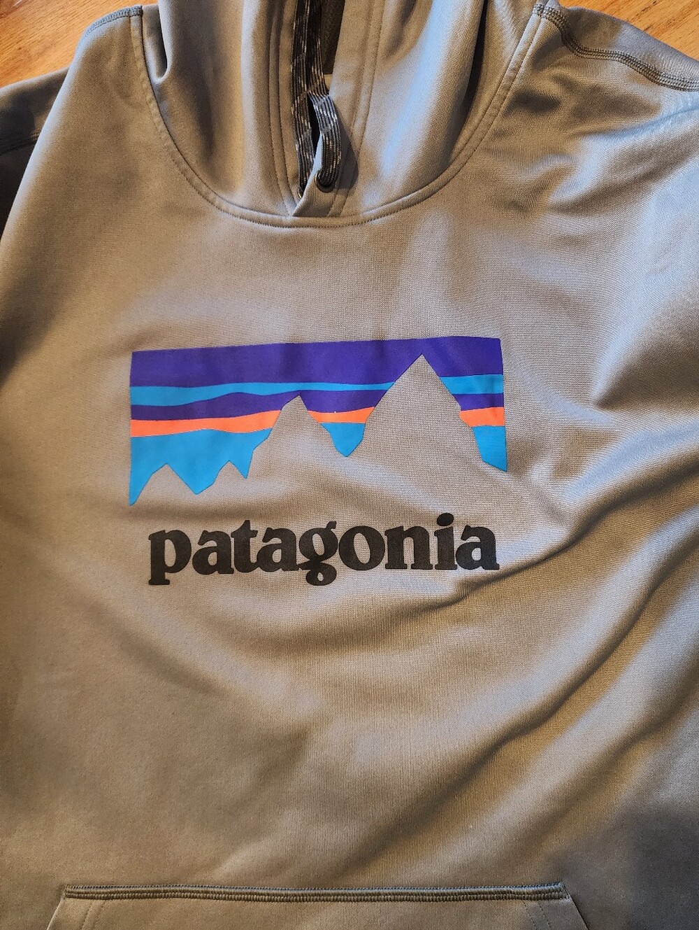 Men Gray Patagonia Hoodie Xl